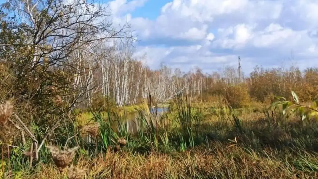 Громада Львова повернула під свій контроль частину заказника “Торфовище Білогорща”