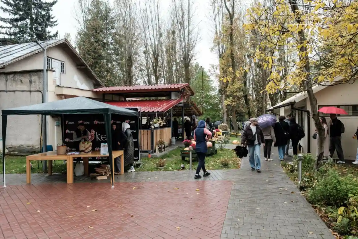 У Львові вдруге відбувся «Кульпарків Фест» до Дня психічного здоров’я