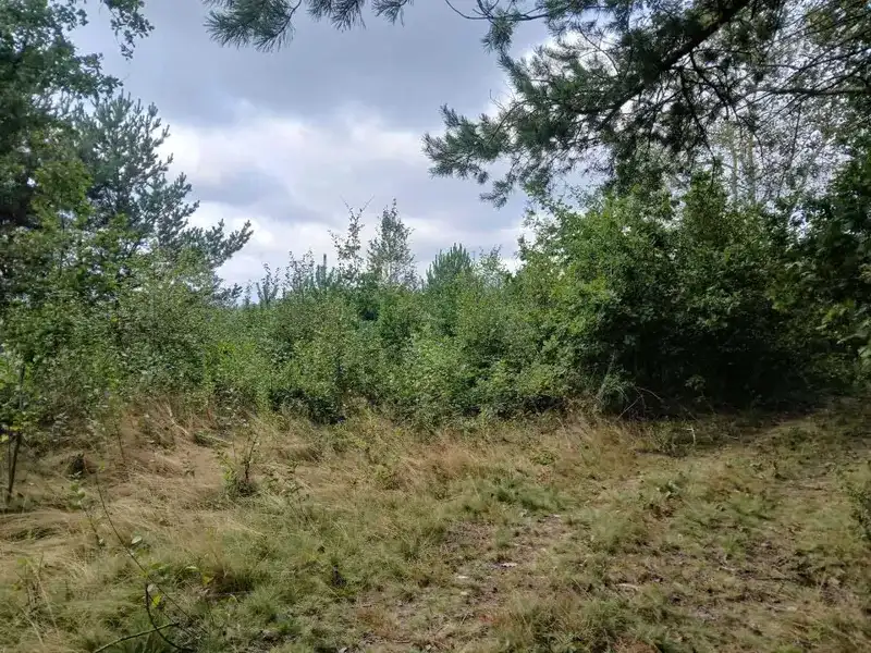 На Львівщині проведуть земельний аукціон: у Яворівській громаді здають в оренду 13 гектарів землі