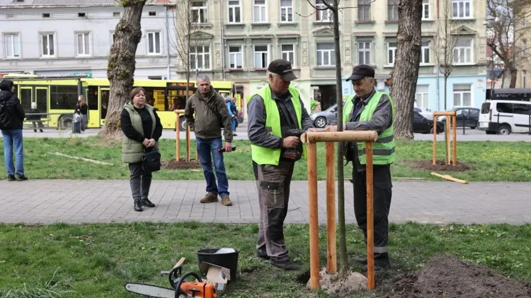 У Львові восени висадять понад 600 дерев і кущів у межах акції «Подаруй місту дерево»