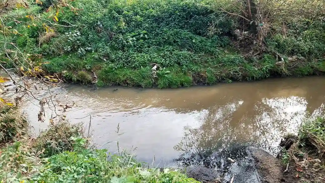 На Львівщині з 1 листопада заборонили вилов риби на зимувальних ямах