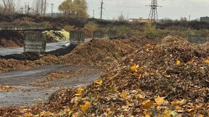 Львівська станція компостування прийняла понад 900 тонн опалого листя