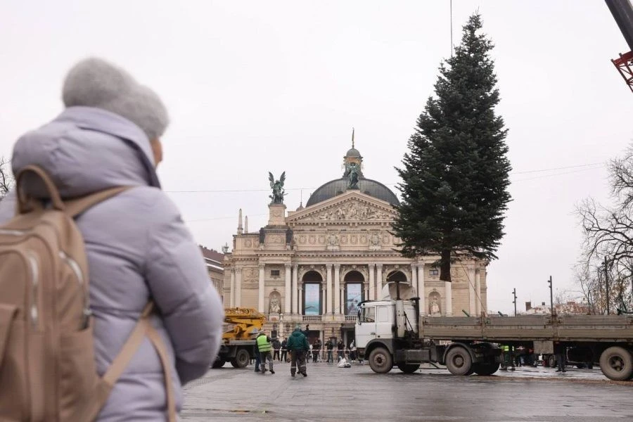 У центрі Львова підняли головну ялинку міста: 14-метрова красуня вже стоїть перед Оперним