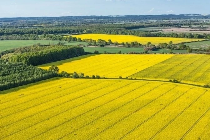 На Львівщині готуються до онлайн-торгів за право оренди восьми земельних ділянок