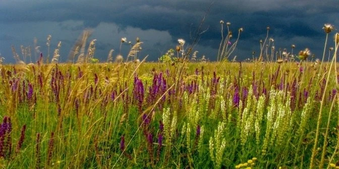 Львів повертає традицію балів: у місті вперше за століття відбудеться «Міський баль»
