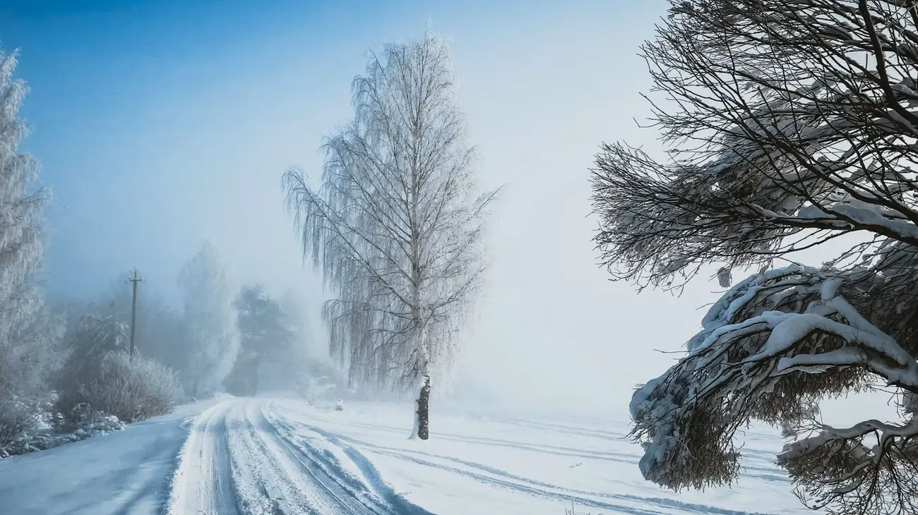 На Львівщині затримали організатора нелегального переправлення ухилянта до Молдови
