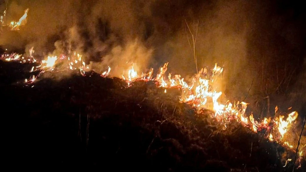 На Львівщині за день ліквідували 18 підпалів сухостою
