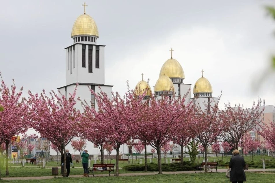 Весна у Львові розквітне тисячами тюльпанів і декоративних дерев