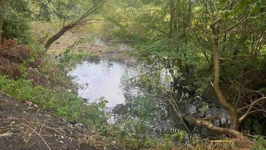 У Львівській агломерації візьмуться за очищення річок