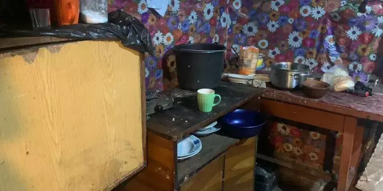 Трагедія у багатодітній родині під Жовквою: немовля опинилося у реанімації через виснаження