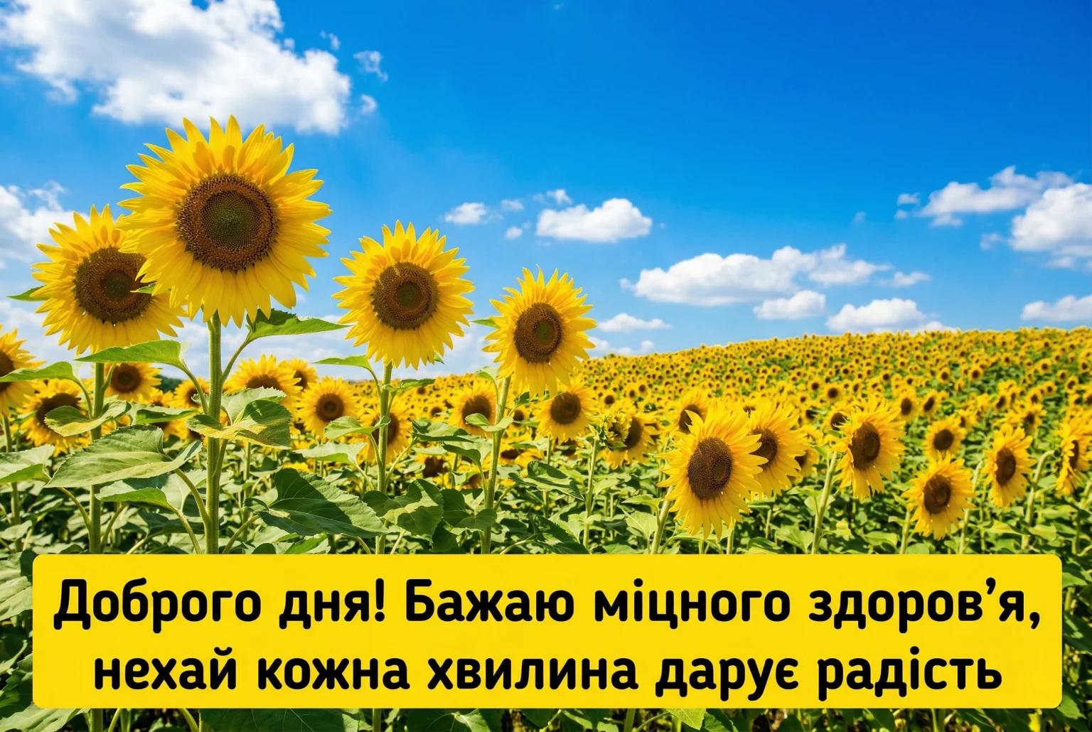 Доброго ранку та доброго дня: найкращі картинки з побажаннями та щирими словами