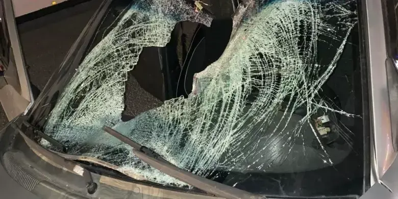 На Львівщині госпіталізовано двох пішоходів після наїздів автомобілів марки ВАЗ