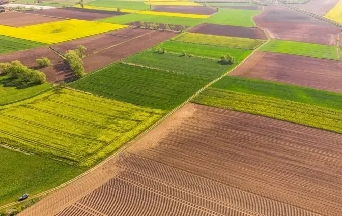 На Львівщині виставили на аукціон право оренди восьми земельних ділянок